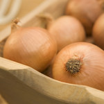 Jak wykorzystać cebulę w celach zdrowotnych?