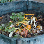Jak wykorzystać kompost w uprawie roślin domowych i ogrodowych?