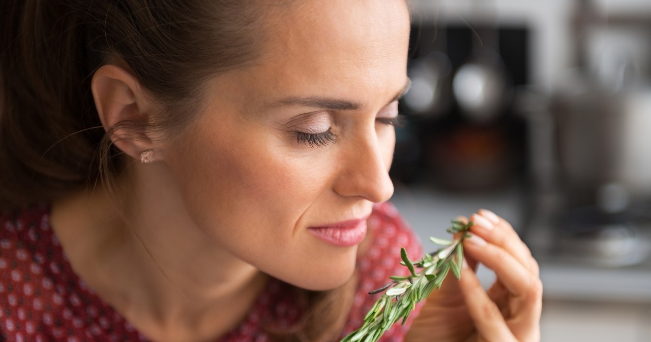 Jak wykorzystać rozmaryn w domu? Jego właściwości cię zaskoczą. /123RF/Picsel, 123RF/Picsel /Pixel