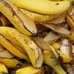 Jak wykorzystać skórki bananów?