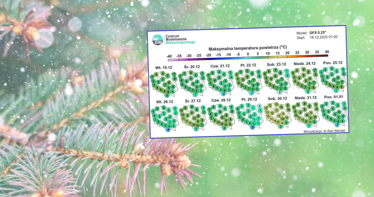 Jak wynika z prognoza IMGW, w Wigilię trzeba się liczyć z silnym wiatrem. W Boże Narodzenia będzie bardziej jesiennie niż zimowo /lenaogurtsova/123rf/IMGW /
