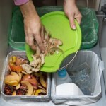 recykling Jak wyrzucać bioodpady? Jeden drobny błąd może cię słono kosztować