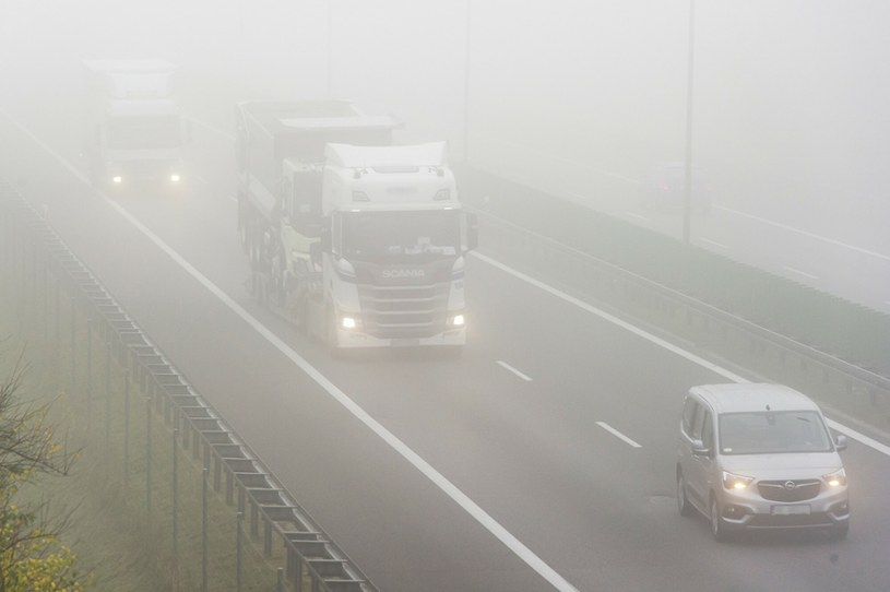 Jak zachować się widząc gęstą mgłę na drodze? /Stanislaw Bielski /Reporter
