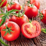 Jak zachować świeżość pomidorów na dłużej?