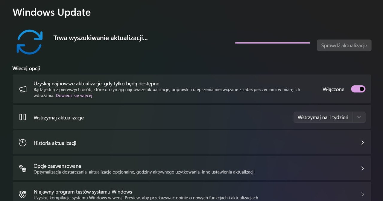 Jak zainstalować Windows 11 24H2? Można to zrobić poprzez Windows Update. /Dawid Długosz /INTERIA.PL