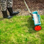 Jak załatać i uzupełnić dziury w trawniku? Niezawodny sposób
