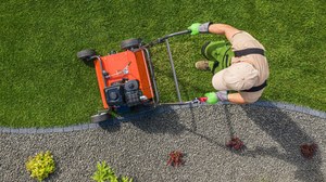 Jak założyć trawnik, żeby był piękny i zielony? Krok po kroku