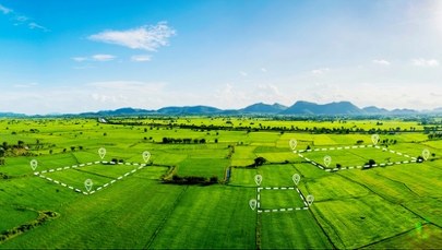 ​Jak zasiedzieć działkę sąsiada? Sąd Najwyższy wyjaśnia zasady
