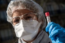 Jak zmienia się koronawirus? Naukowcy z Kalifornii mają dobre informacje