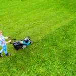 Jak zreanimować trawnik po zimie? Wystarczy kilka prostych trików