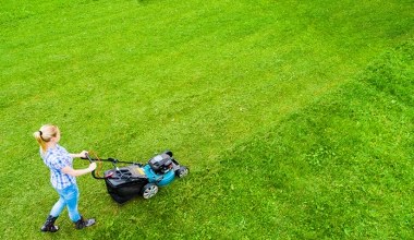 Jak zreanimować trawnik po zimie? Wystarczy kilka prostych trików