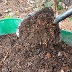 Jak zrobić kompost? Spraw, by twój ogród był bujny i zielony