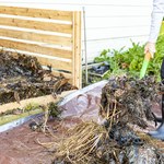 Jak zrobić kompost z resztek roślin? Warto go mieć w ogrodzie