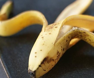 Jak zrobić nawóz do kwiatów doniczkowych z banana?