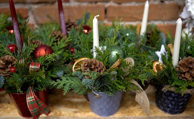Jak zrobić stroik świąteczny? Florysta radzi
