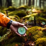 Jaka aplikacja GPS jest najlepsza do lasu, żeby się nie zgubić?