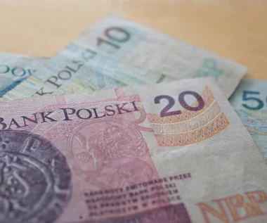 Jaka będzie inflacja? Eksperci: Nie taka, jak prognozuje NBP. "Wersje skrajne"