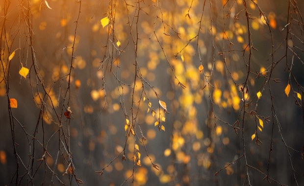 Jaka będzie pogoda na Wszystkich Świętych?