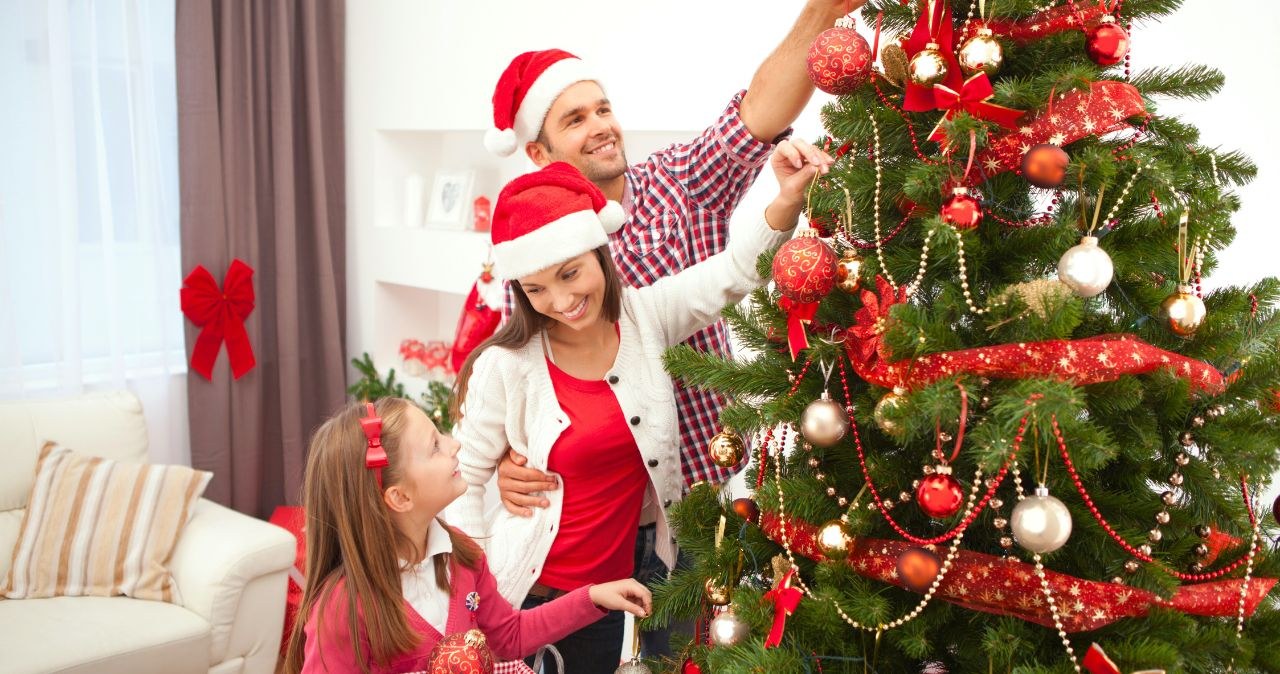 Jaka choinka na święta 2025 - świerk, sosna czy sztuczna? Przegląd promocji /CanvaPro /INTERIA.PL
