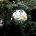 Jaką choinkę wybrać? Kilka trików, aby posłużyła nam wiele lat