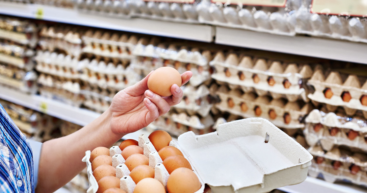 Jaka jest alternatywa dla kurzych jajek? /123RF/PICSEL