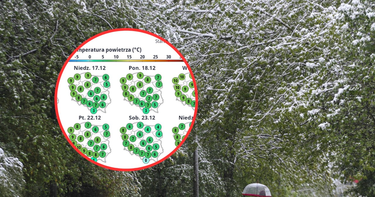 Jaka pogoda będzie w tygodniu poprzedzającym święta Bożego Narodzenia? Szykuje się spora niespodzianka /Artur Szczepanski/REPORTER /East News