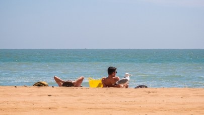 Jaka pogoda na wiosnę i lato 2023? Długoterminowa prognoza IMGW