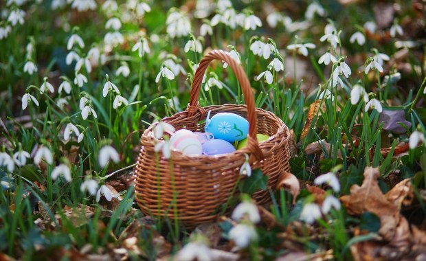 Jaka pogoda w Wielkanoc? Synoptycy nie mają dobrych wieści