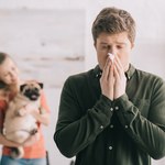 Jaka rasa psa dla alergika?