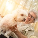 Jaka rasa psa najlepsza dla emeryta i seniora? Oto kilka propozycji
