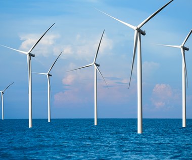 Jaki jest potencjał morskich farm wiatrowych w Polsce? Opublikowano raport
