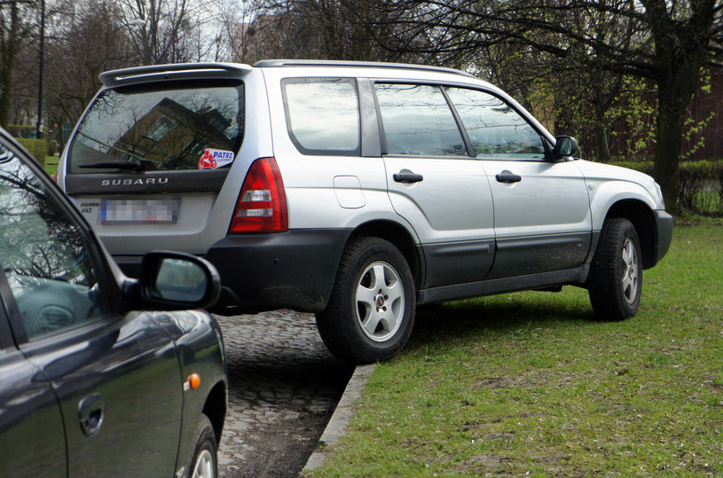Jaki mandat grozi za parkowanie na trawniku? /Tomasz Jodlowski /Reporter