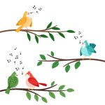 Jaki ptak śpiewa za oknem? Aplikacja, którą uruchomisz o poranku