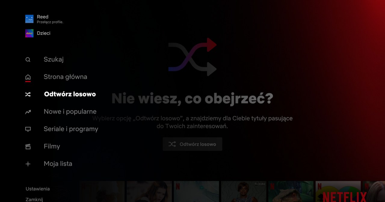 Jaki serial obejrzeć? /Netflix /materiały prasowe