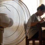 Jaki wentylator kupić na lato? Przegląd promocji z Kauflandu, Biedronki i Selgrosa