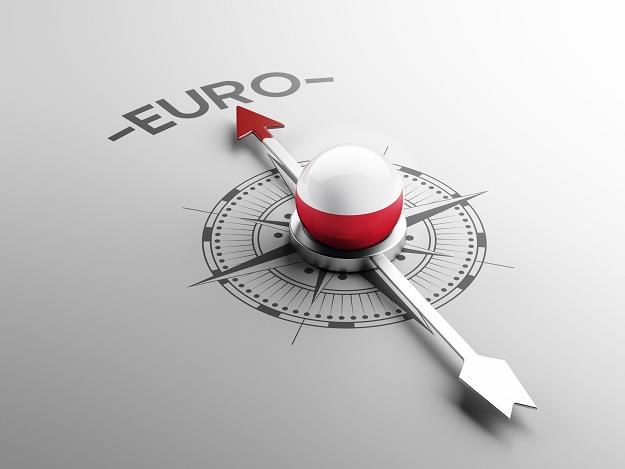 Jakie będą dla Polaków skutki przyjęcia euro? /&copy;123RF/PICSEL