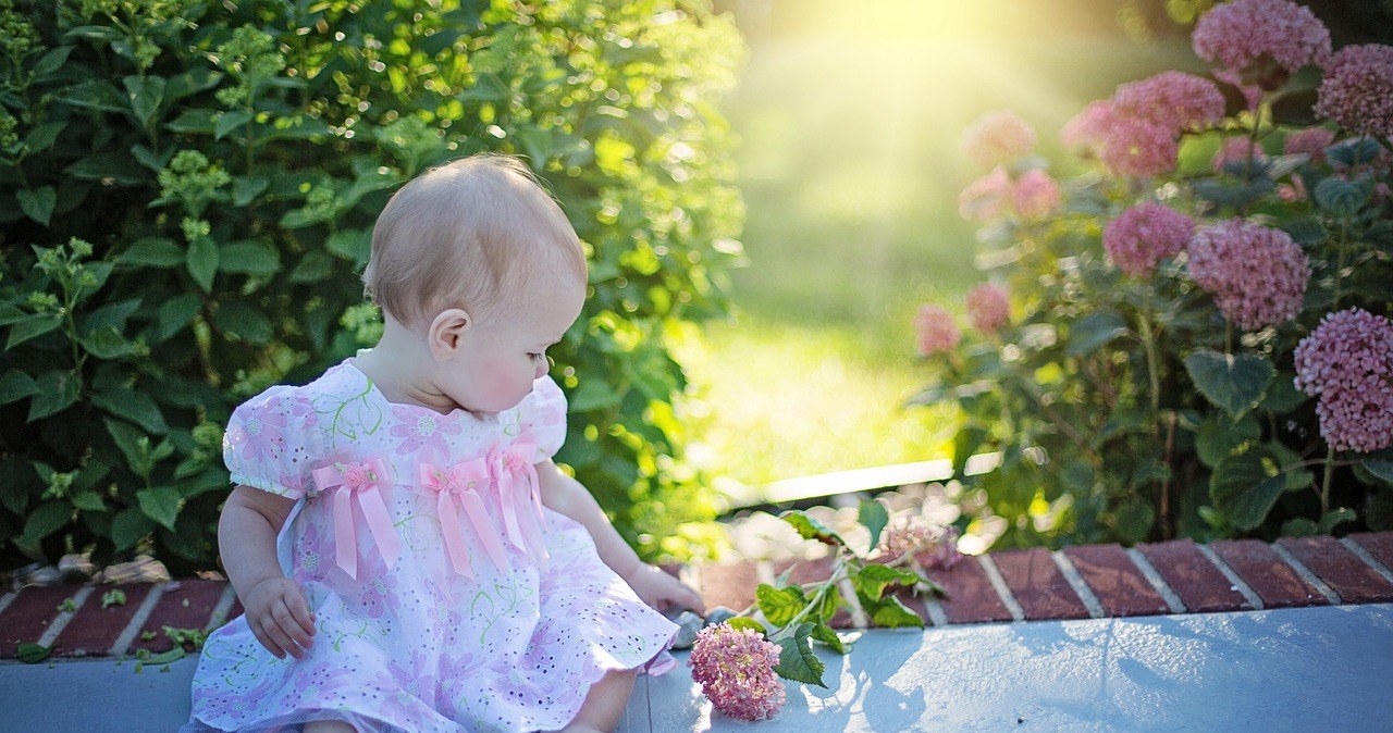 Jakie imiona pochodzące od kwiatów można nadać dzieciom? /Pixabay.com