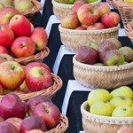 Jakie jabłka wybrać do szarlotki, a z których zrobić sok i przetwory?