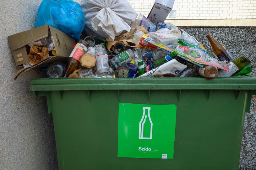 Jakie kary za nieprawidłowe segregowanie odpadów? /Arkadiusz Ziółek /East News