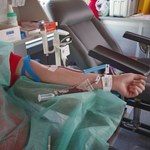 Jakie korzyści ma dawca z oddawania krwi? To nie tylko czekolada, ale i wolne w pracy