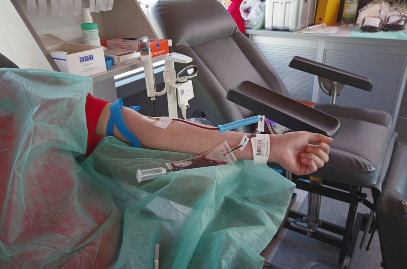Jakie korzyści ma dawca z oddawania krwi? /Marek Bazak /East News