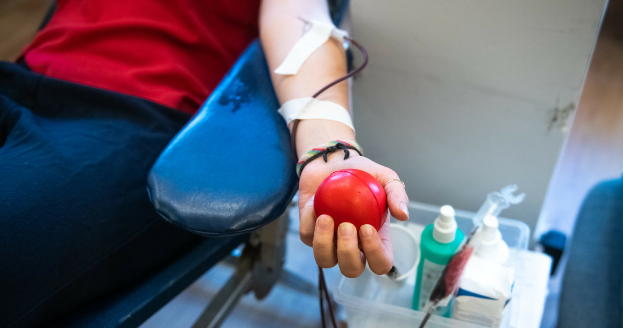 Jakie korzyści wiążą się z oddawaniem krwi? /LUKASZ GDAK/POLSKA PRESS /East News