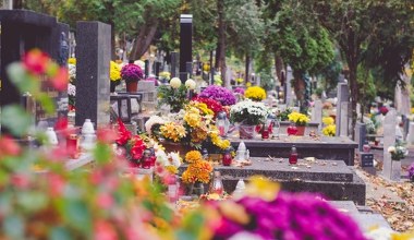 Jakie kwiaty na cmentarz? To nie tylko chryzantemy