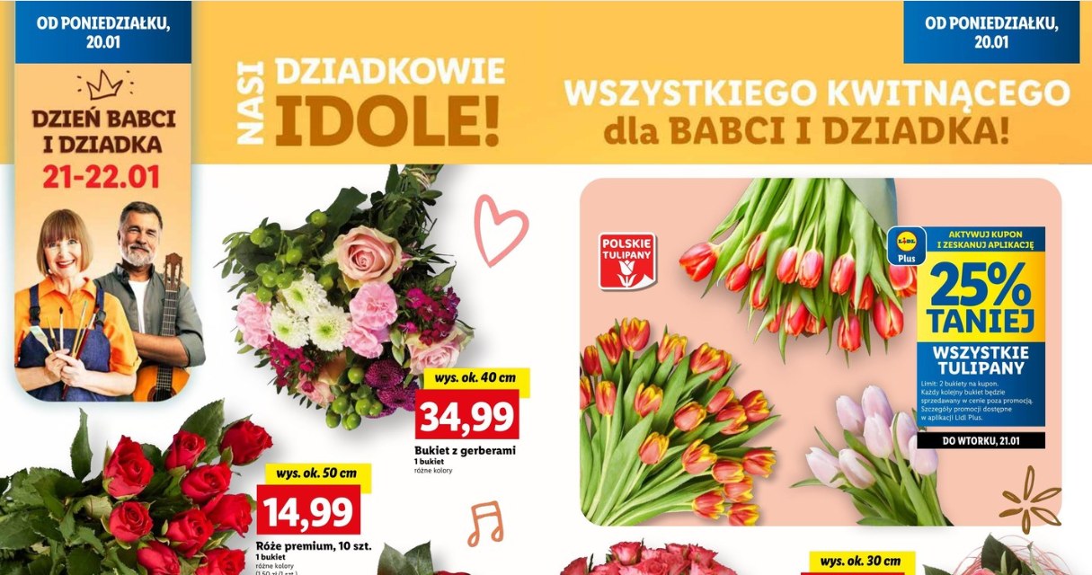 Jakie kwiaty wybrać na Dzień Babci i Dziadka w Lidlu? /Lidl /INTERIA.PL