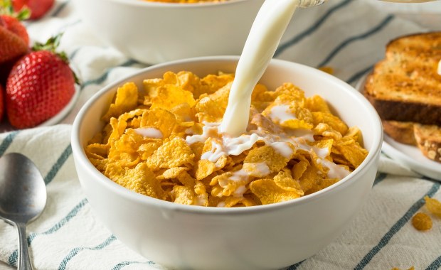 Jakie mleko wybrać? Badanie, które zmieni Twoje zakupy