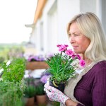 Jakie rośliny warto uprawiać na balkonie? Zobacz, jakie gatunki sprawdzą się najlepiej