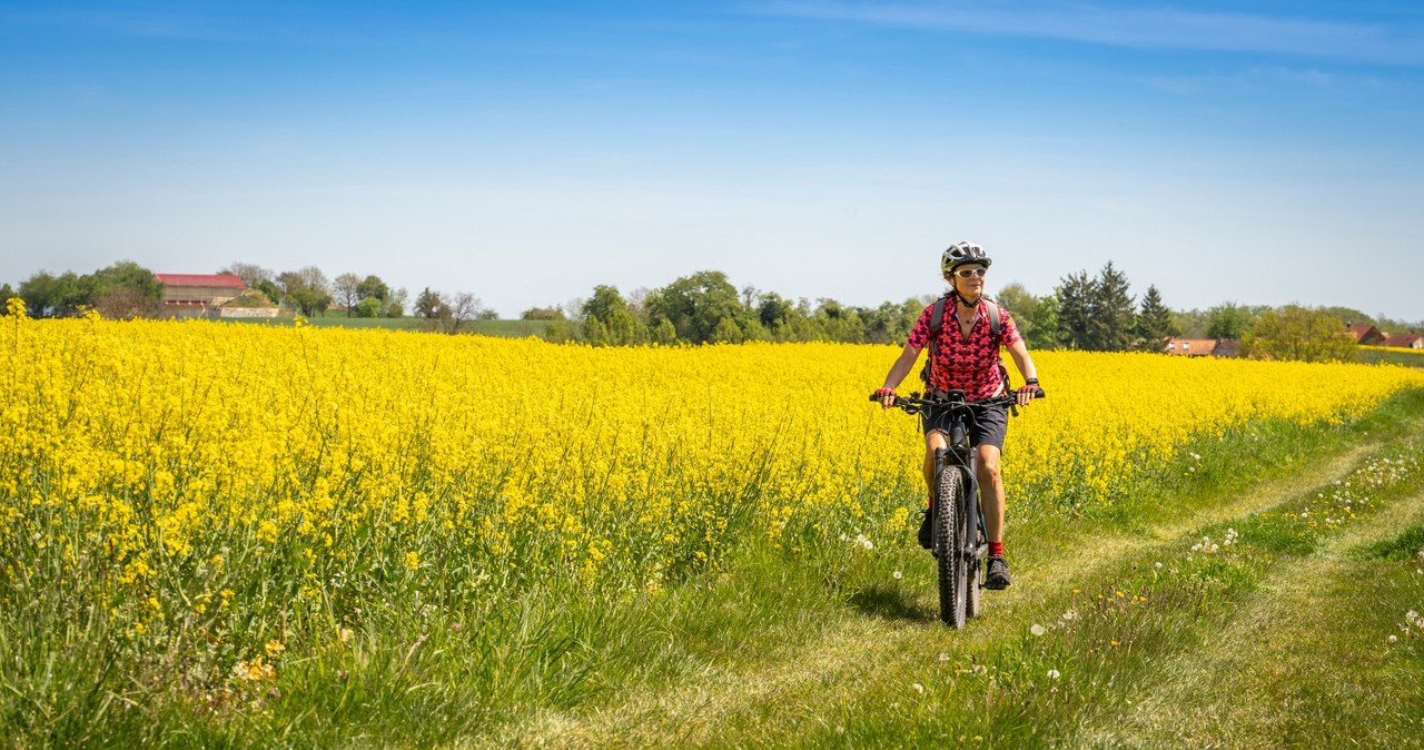 Jakie są najpiękniejsze trasy rowerowe w Polsce? /Pixel