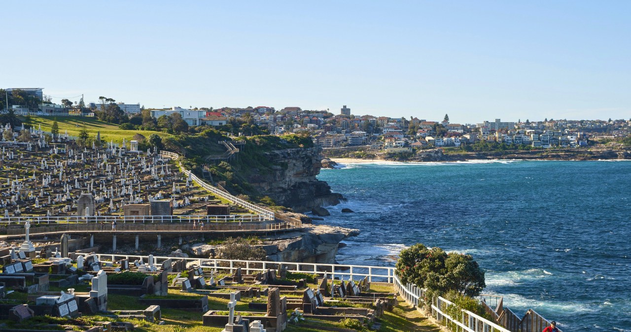 Jakie są nietypowe cmentarze w Polsce i na świecie? /Olaf Schuelke / imageBROKER / Forum /Agencja FORUM