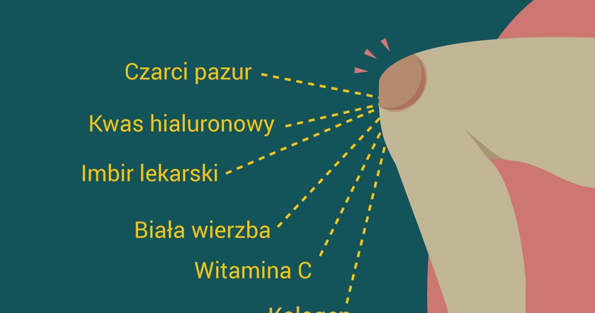 jakie składniki pomagają stawom? /materiały prasowe