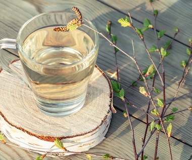 Jakie właściwości ma woda brzozowa? Poznaj niezawodną moc naturalnego specyfiku